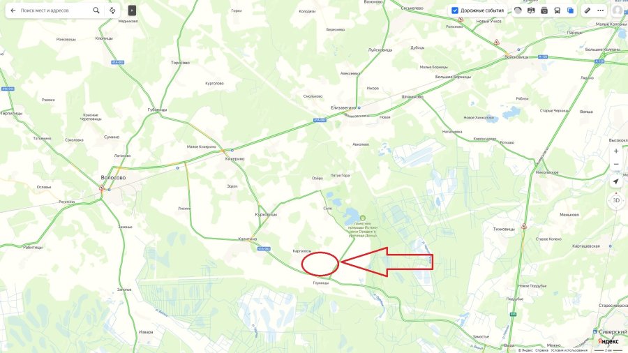 Участок С/х назначения 265.00 га Волосовский район — фото 1