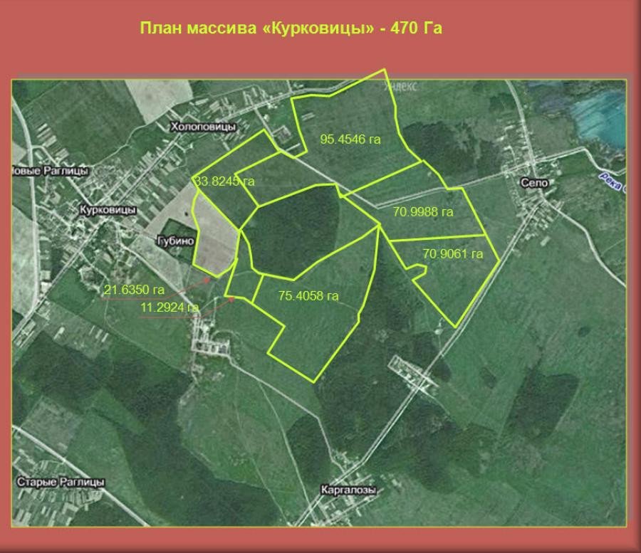 Участок С/х назначения 440.00 га Волосовский район — фото 5