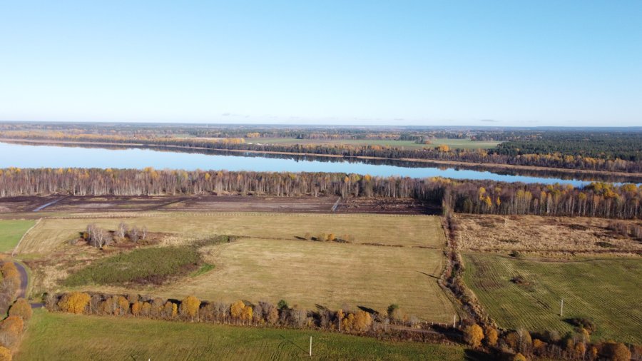 Участок С/х назначения 253.00 га Выборгский район — фото 2