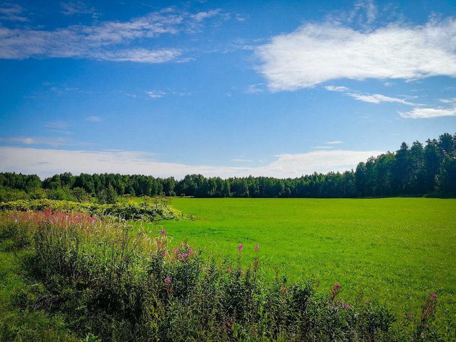 Участок С/х назначения 40.00 га Выборгский район — фото 7