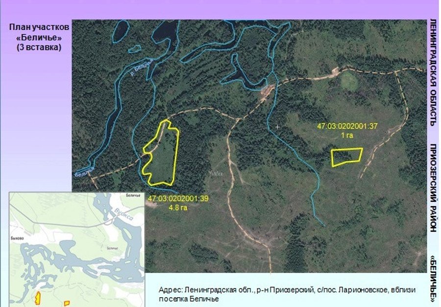 Участок С/х назначения 250.00 га Приозерский район — фото 7