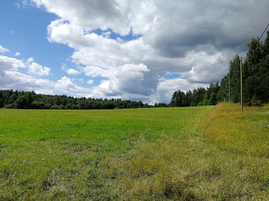 Участок С/х назначения 35.00 га Приозерский район — фото 6