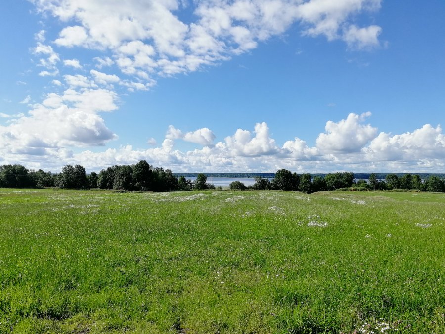 Участок С/х назначения 298.00 га Приозерский район — фото 18