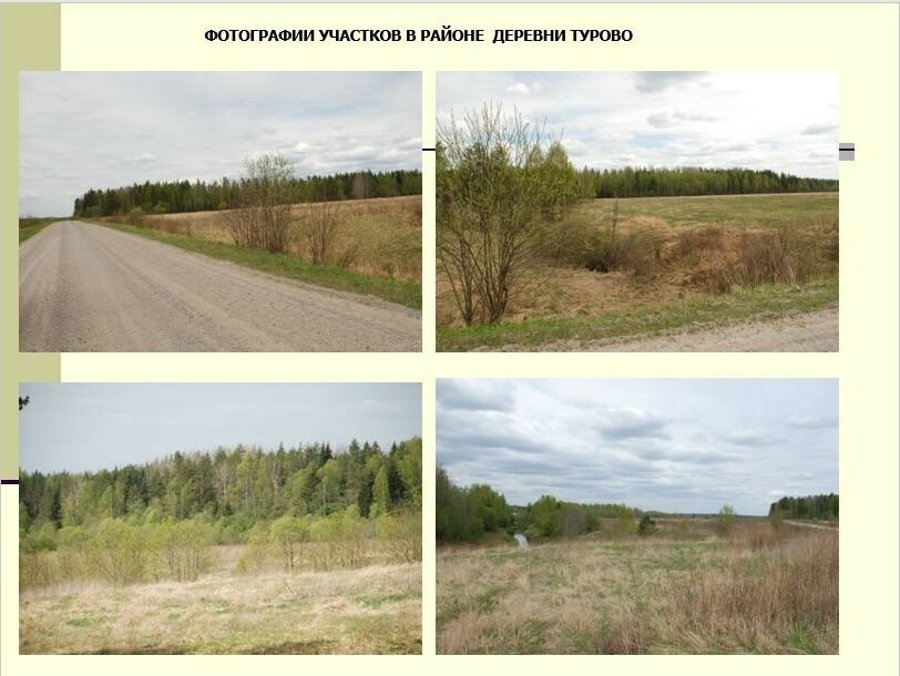 Участок С/х назначения 20.00 га Тосненский район — фото 13
