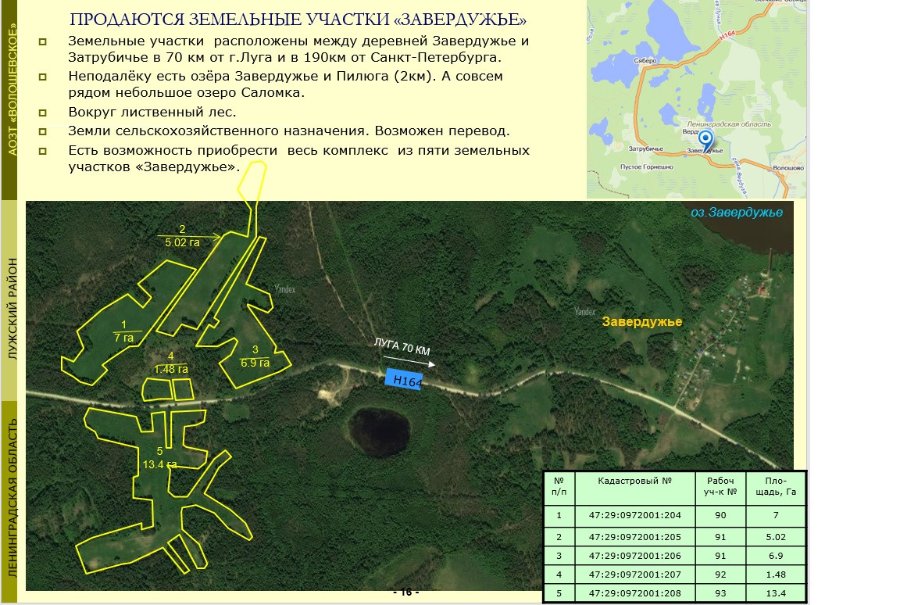 Участок С/х назначения 20.00 га Лужский район — фото 15