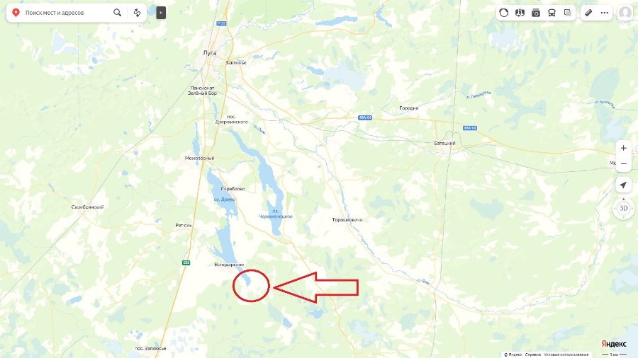 Участок С/х назначения 77.00 га Лужский район — фото 1