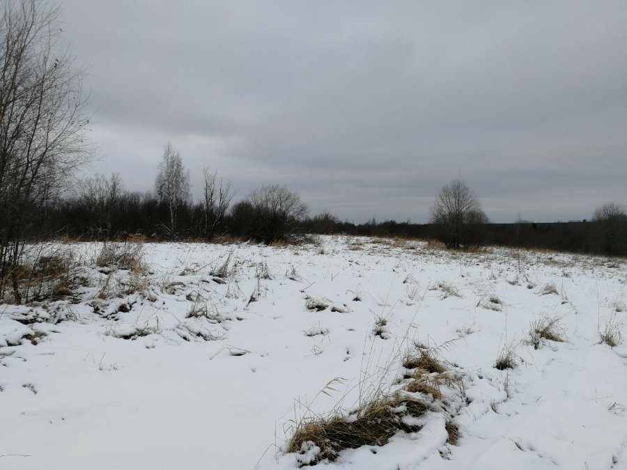 Участок С/х назначения 118.00 га Волховский район — фото 4
