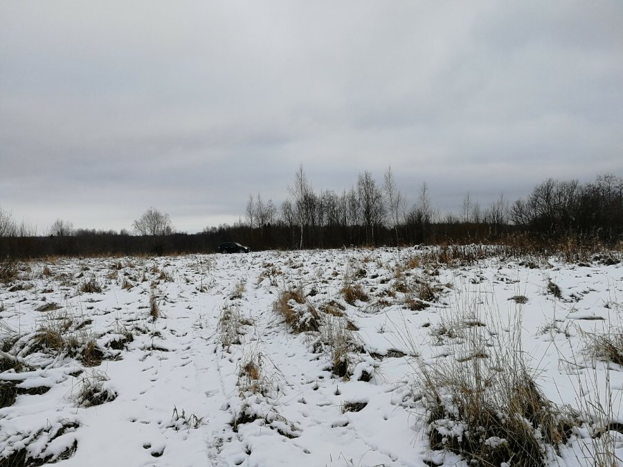Участок С/х назначения 118.00 га Волховский район — фото 6