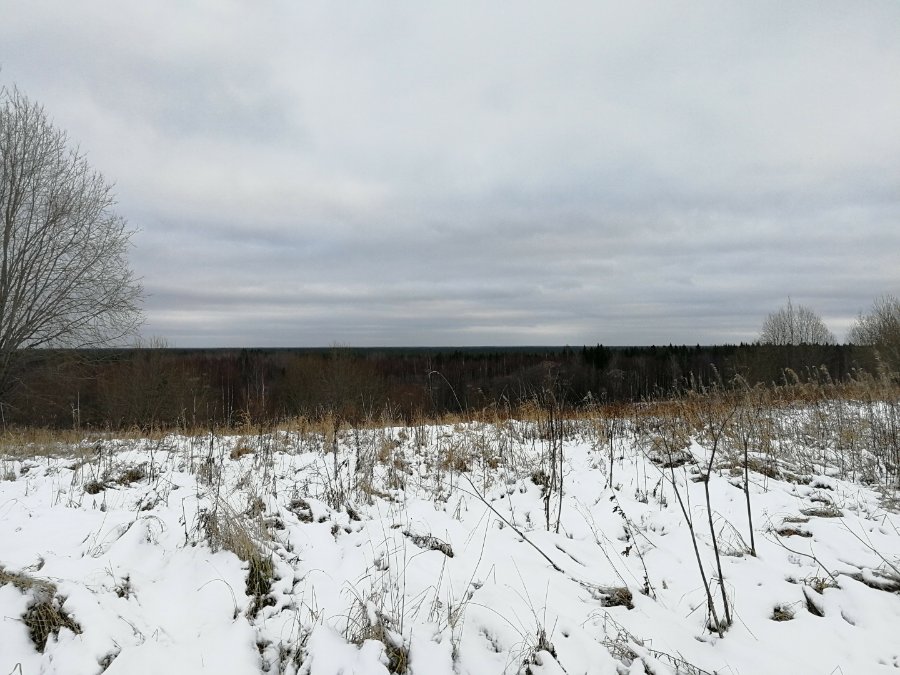 Участок С/х назначения 118.00 га Волховский район — фото 8
