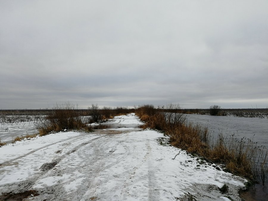 Участок С/х назначения 538.00 га Волховский район — фото 3