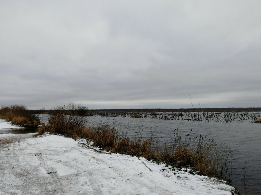 Участок С/х назначения 538.00 га Волховский район — фото 7