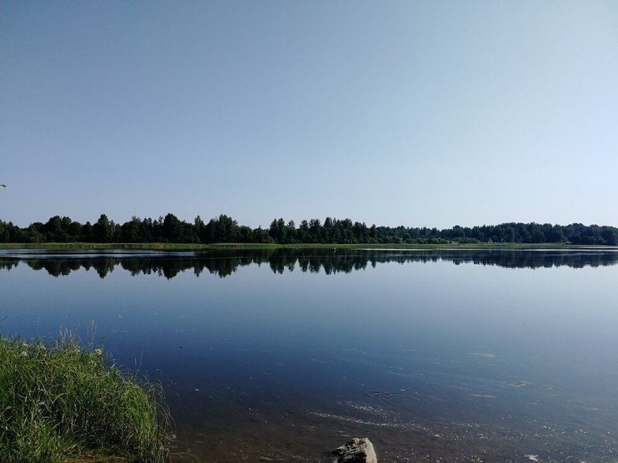 Участок С/х назначения 1.60 га Выборгский район — фото 13