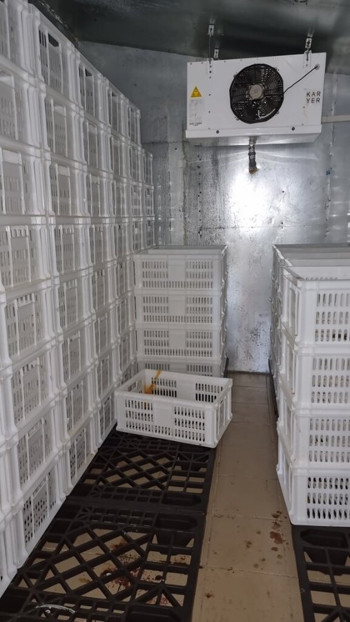 Участок 4.90 га Выборгский район — фото 18