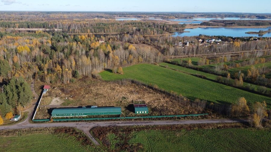 Участок 4.90 га Выборгский район — фото 5