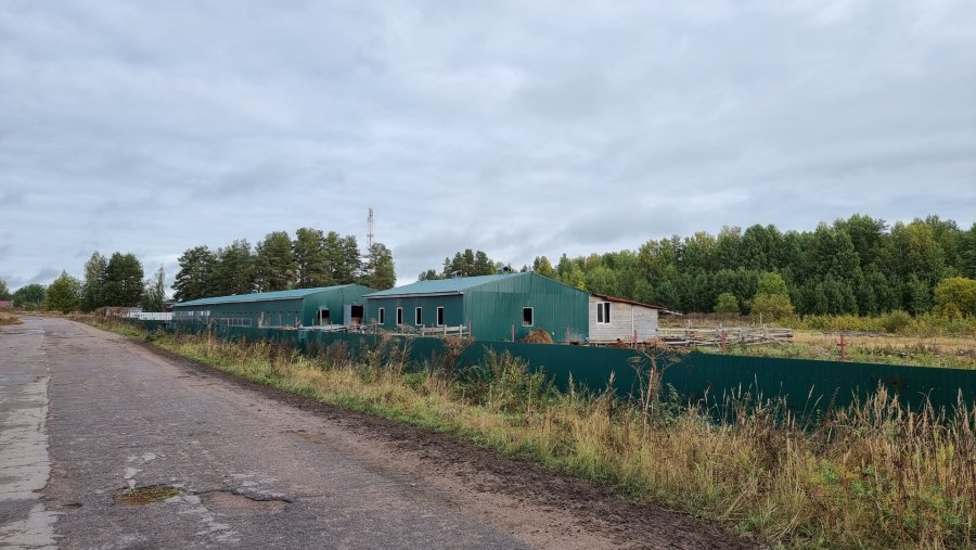 Участок 4.90 га Выборгский район — фото 8