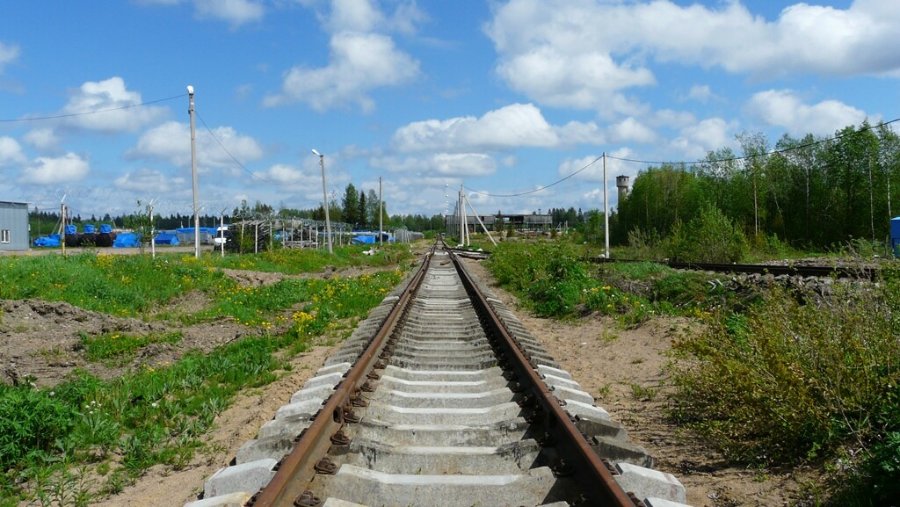 Участок Промышленная 46.50 га Всеволожский район — фото 8