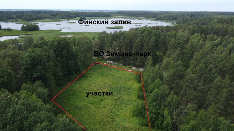 Участок ДНП 1.95 га Выборгский район — фото 12
