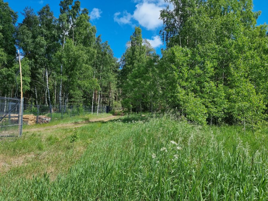 Участок ДНП 1.00 га Выборгский район — фото 11