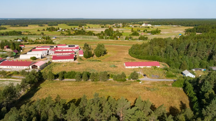 Участок СНТ 1.00 га Приозерский район — фото 5