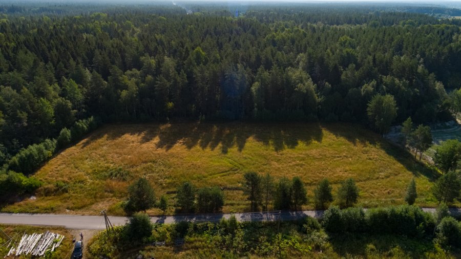 Участок С/х назначения 33 сот. Приозерский район — фото 3