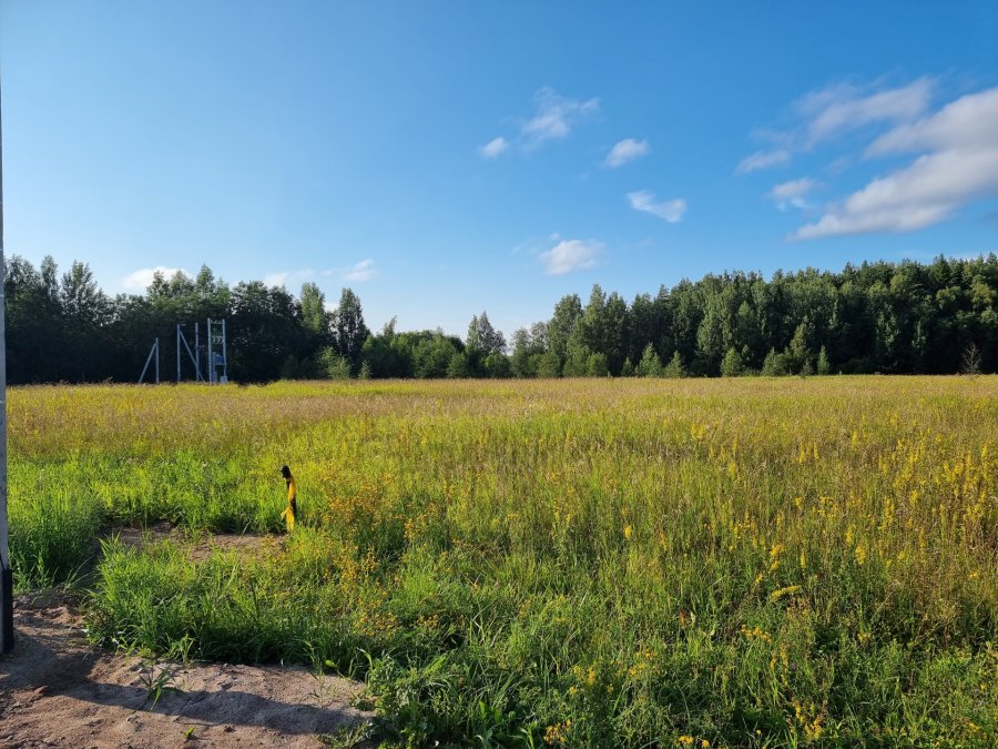 Участок ИЖС 2.55 га Всеволожский район — фото 3