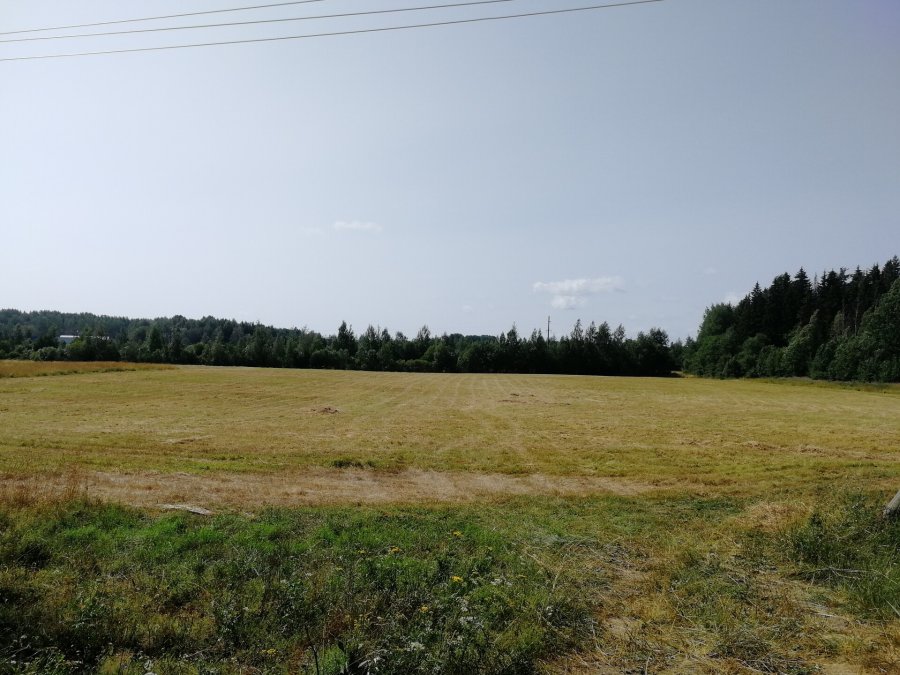 Участок Коммерческая 2.40 га Выборгский район — фото 4