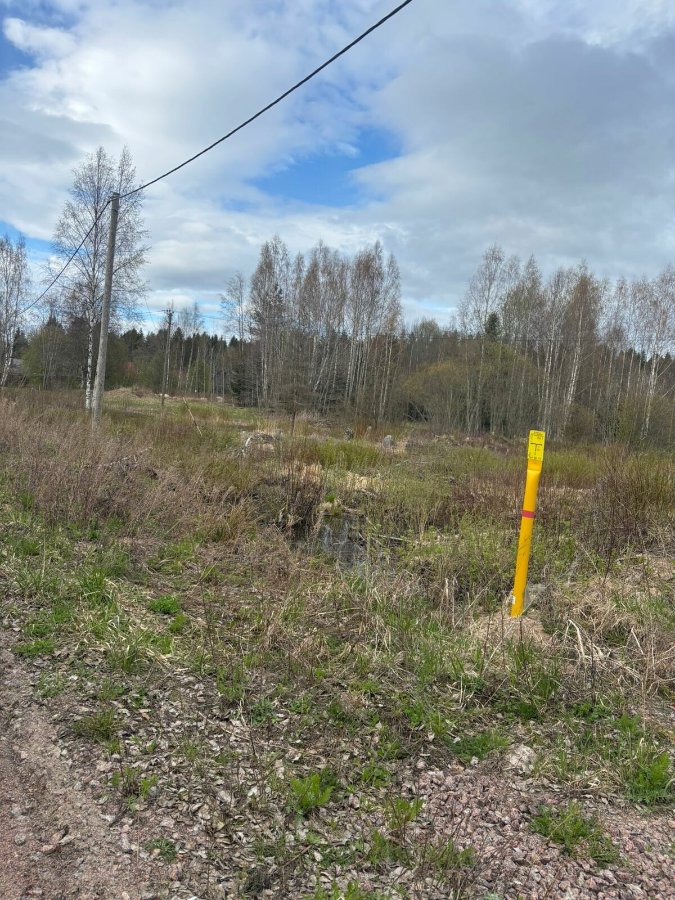 Участок Коммерческая 2.40 га Выборгский район — фото 9