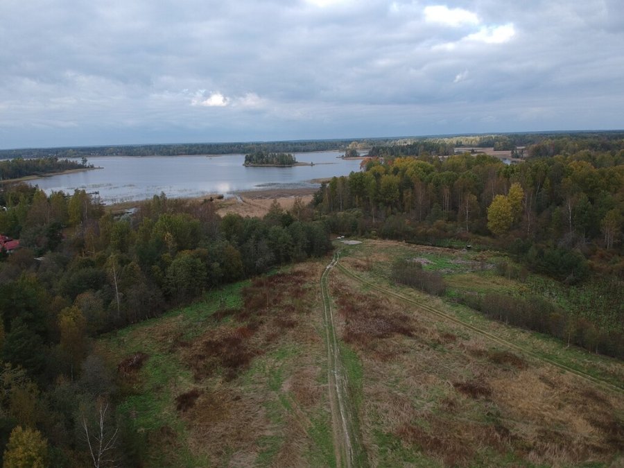 Участок С/х назначения 1.30 га Приозерский район — фото 4