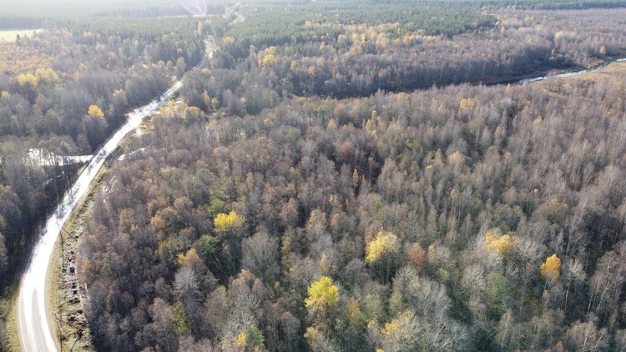Участок С/х назначения 49.00 га Выборгский район — фото 13