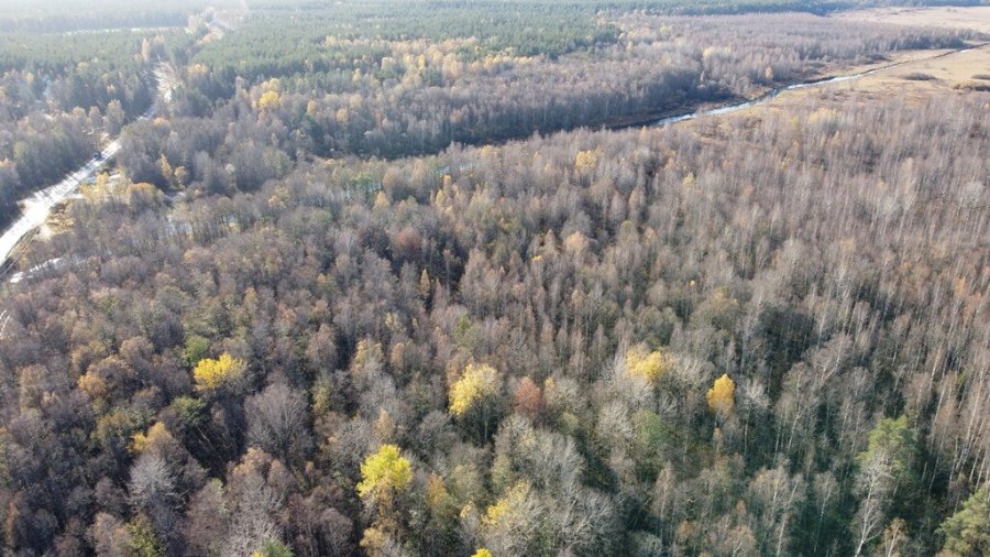 Участок С/х назначения 49.00 га Выборгский район — фото 14
