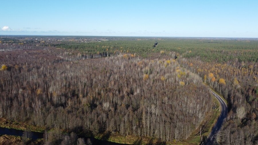 Участок С/х назначения 49.00 га Выборгский район — фото 4