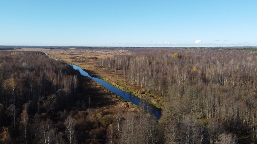 Участок С/х назначения 49.00 га Выборгский район — фото 6