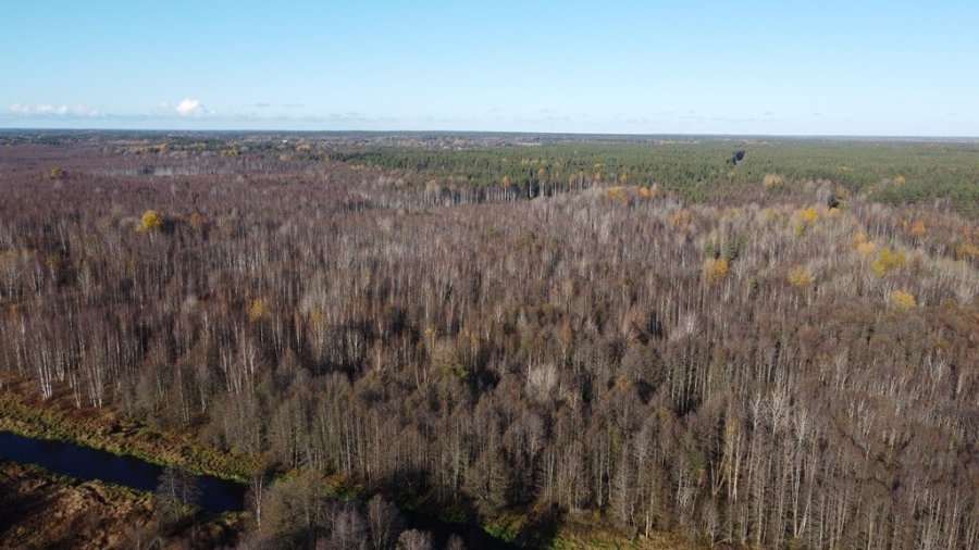Участок С/х назначения 49.00 га Выборгский район — фото 9