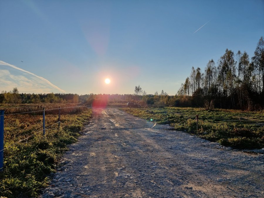 Участок С/х назначения 54 сот. Всеволожский район — фото 12