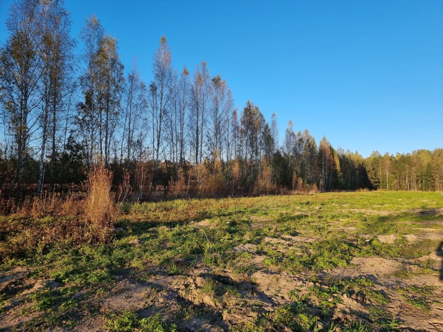 Участок С/х назначения 54 сот. Всеволожский район — фото 3