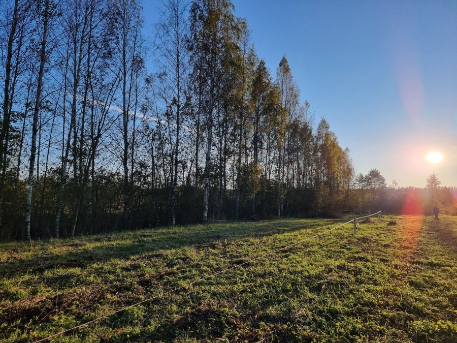 Участок С/х назначения 54 сот. Всеволожский район — фото 6