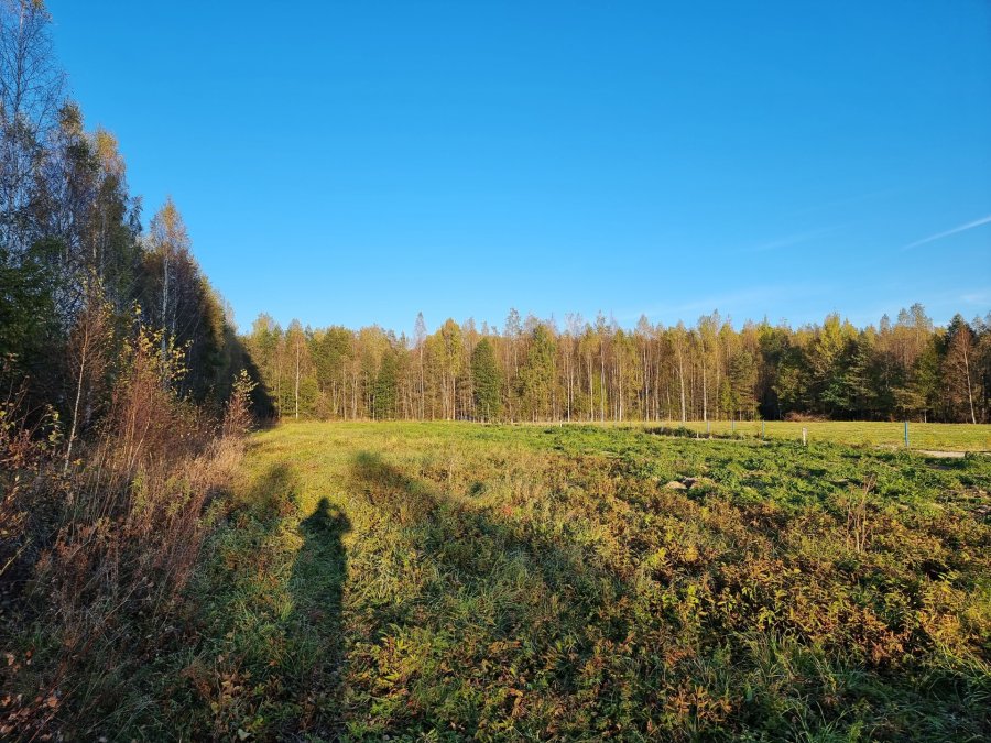 Участок С/х назначения 54 сот. Всеволожский район — фото 7