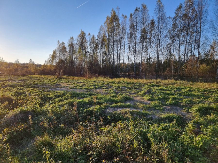 Участок С/х назначения 54 сот. Всеволожский район — фото 9